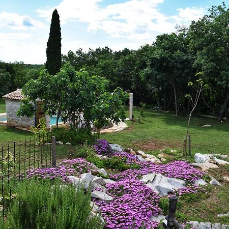 Cottage Al Merlo Olivo Buje Buitenkant foto
