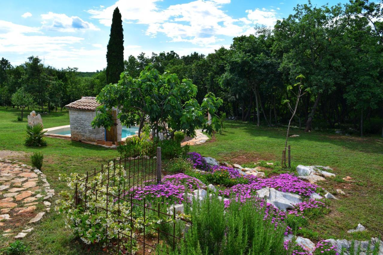Cottage Al Merlo Olivo Buje Buitenkant foto