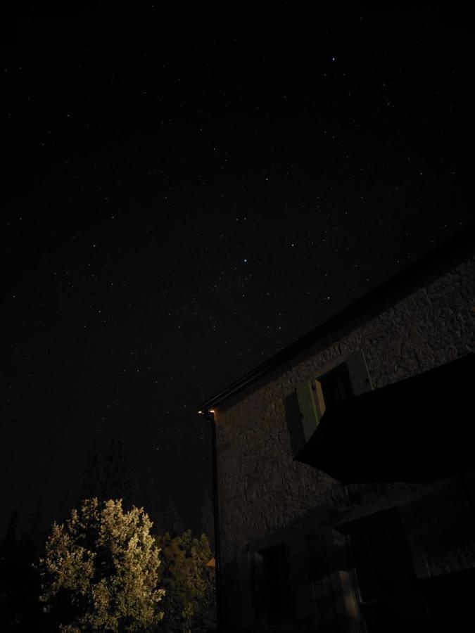 Cottage Al Merlo Olivo Buje Buitenkant foto