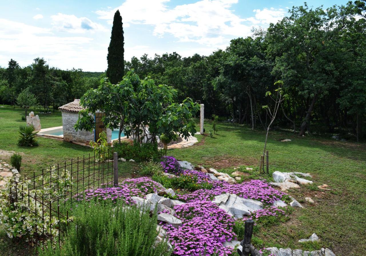 Cottage Al Merlo Olivo Buje Buitenkant foto