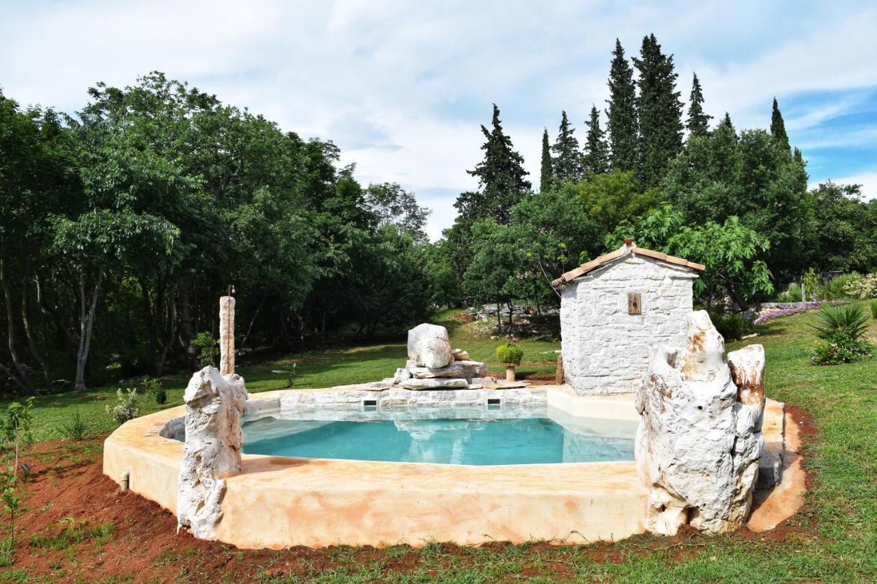 Cottage Al Merlo Olivo Buje Buitenkant foto