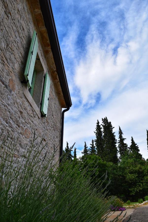 Cottage Al Merlo Olivo Buje Buitenkant foto